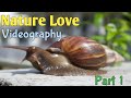 Macro Video - snail videography -Nature Love Videography  Part-1 #Ochu