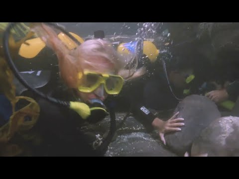 Pamela Anderson and Alexandra Paul try to save a trapped diver!
