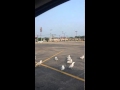 McDonald S French Fries And Seagulls