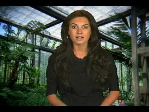 The Fully Electric Mini Cooper E 2009