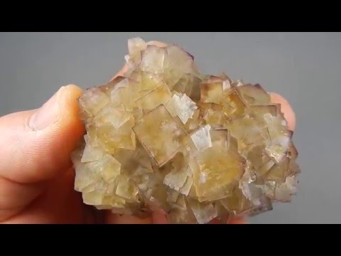 Fluorit xx / Fluorite - Frohnau,Erzgebirge,Deutschland