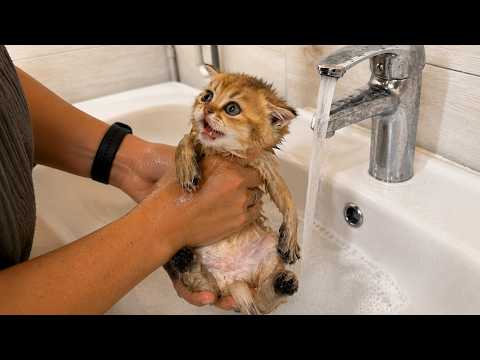 YouTube 썸네일