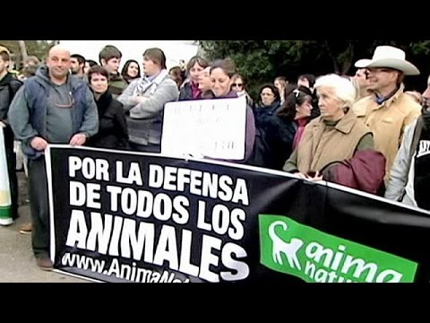 Im Zorn Pferd totgeprügelt: Spanischer Jockey muss ins Gefängnis