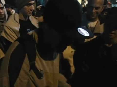 kodigo, bepoos salida de la pelicula a cara de perro zoo