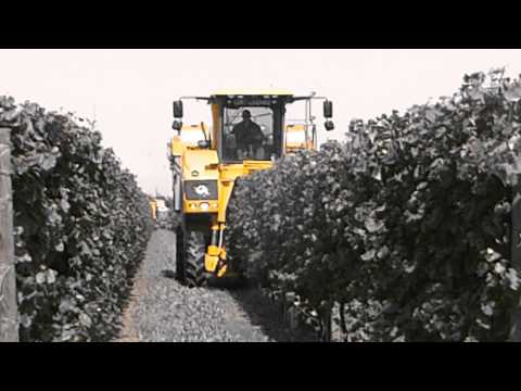 AGRIMAC VENDEMMIA 2014 - VENDEMMIATRICE GREGOIRE G8.230