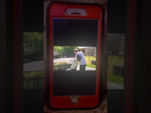 Mute vs Echo for the ETW Championship