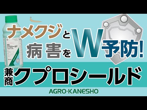 SOS: 菜園へのナメクジの侵入: なぜですか?そしてそれらを自然に撃退するにはどうすればよいでしょうか？  庭園