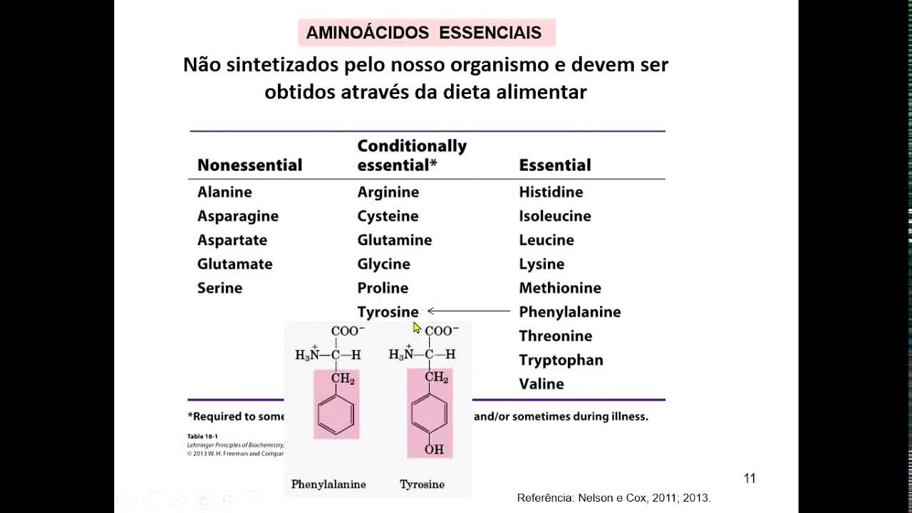 Aminoácidos e proteínas - estruturas e propriedades químicas (parte 1). Videoaula de "Bioquímica"