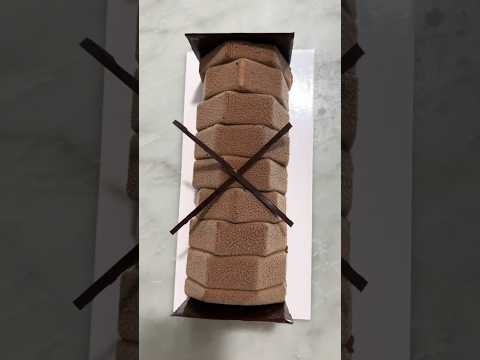 Chocolate buche de noel chocolate, hazelnut and gianduja #pastry #chocolate #christmas #bûchedenoël