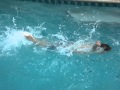 Jimmy Swimming 3