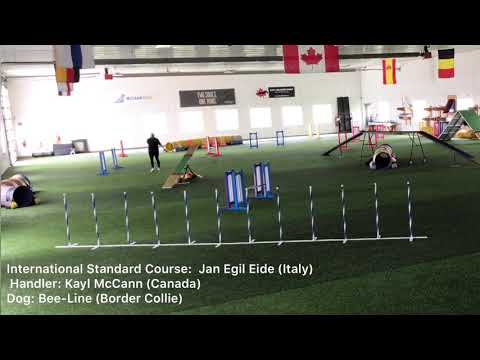 Kayl McCann & Bee-Line - International Agility Course with Multiple Cameras