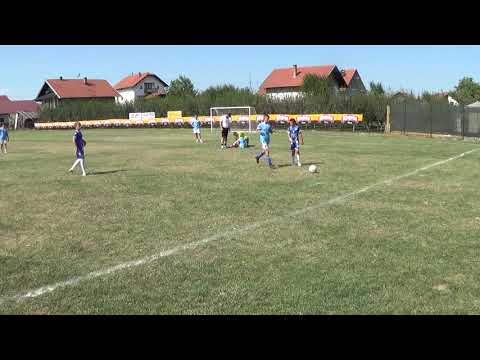 Šampion - Ilićka 01; 2010. godište