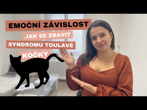 Emoční závislost: Syndrom toulavé kočky