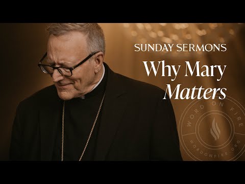 Why Mary Matters - Bishop Barron's Sunday Sermon