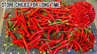 How to store Chillies for months | Store chilies for year | Preserved Chilies  | Kitchen Tips