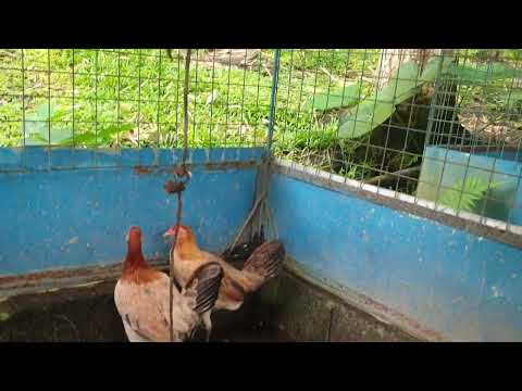 Col Given's hatch dark side