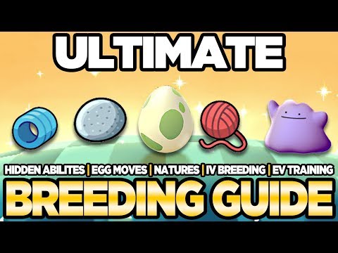 ULTIMATE Breeding Guide IVs, EVs, Natures, Egg Moves Pokemon Ultra Sun and Moon | Austin John Plays