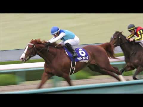 H30.12.16　優勝馬：アドマイヤマーズ　ＧⅠ　朝日杯　阪神競馬場