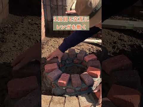 苗を何に入れますか？ 4 つの回復アイデア + ビデオ手順  庭園