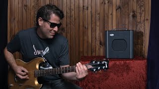 Video thumbnail for Supro Blues King 8 Tube Amplifier Official Demo by David Koltai 1x8 Combo by SuproUSA