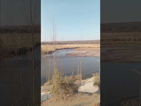 LAS FIESTAS TUNUYAN MENDOZA ARGENTINA 6 DISIEMBRE 2025