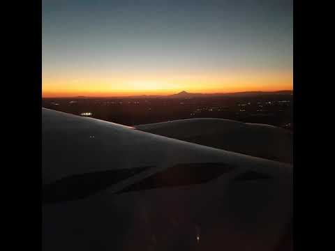 [190127]JL017 Landing at NRT