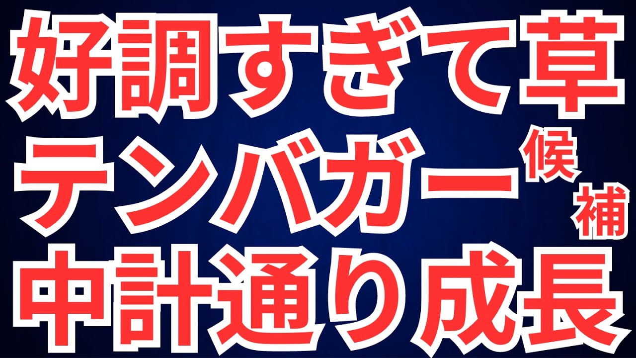 好調すぎて草なテンバガー候補、中計通り成長