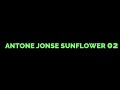 ANTON JONSE SUNFLOWER 02