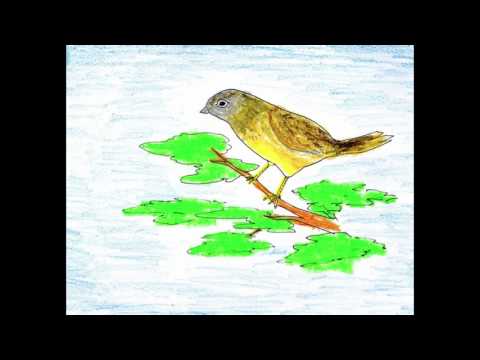 歌謠篇   邵語 06shmashuni a quyash 繡眼畫眉鳴叫《伴唱篇》