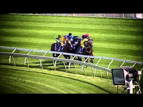 Master Of Design Promotion