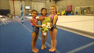 Tylee Price Year 3 Gymnastics Highlighs
