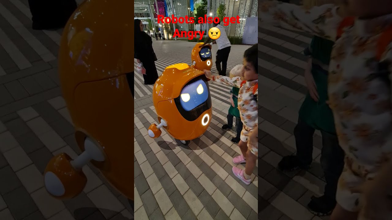 When Robots get Angry Expo 2020