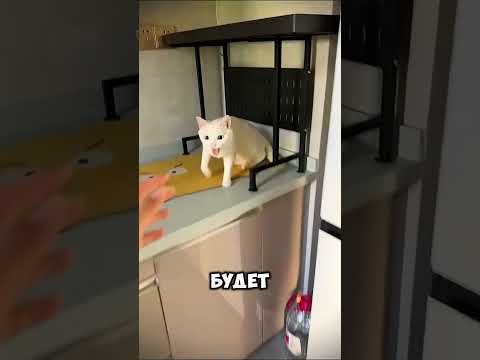 Просыпаться с такой любовью — счастье #short