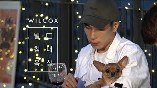 [In the Studio] 윌콕스(Wilcox), '별 침대 옥상' 라이브 촬영 현장 Sketch