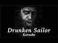 Drunken Sailor Karaoke (Irish Rovers)