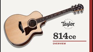 Taylor 814ce Overview