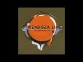 The Mendoza Line - Name Names
