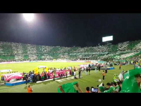Atletico Nacional Campeon 2017 - Vamos mi Verde