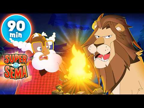 The Lion Story (Man vs The Lion) | Super Sema - Cartoons for Kids