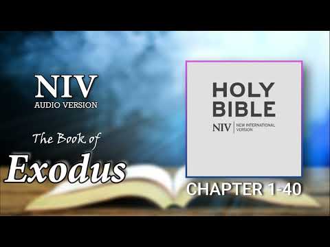 The Book of Exodus Chapter 1- 40 |  NIV Audio Bible | HOLY BIBLE