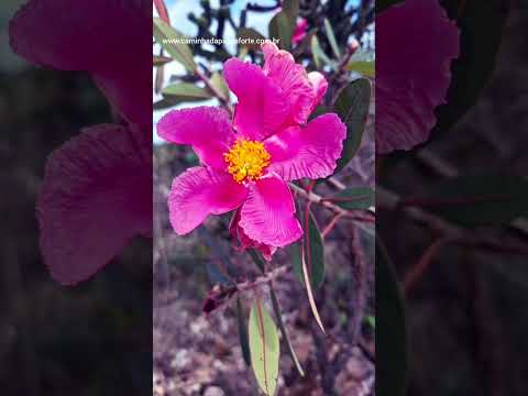 Lugar que encanta, Santana do Riacho-MG 😍