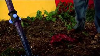 Dead Kennedys Rambozo the clown