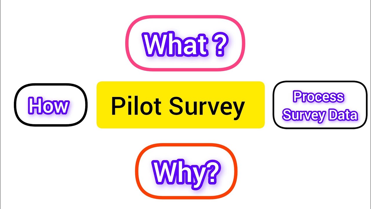 Pilot Survey || Surveys || Processing of survey data