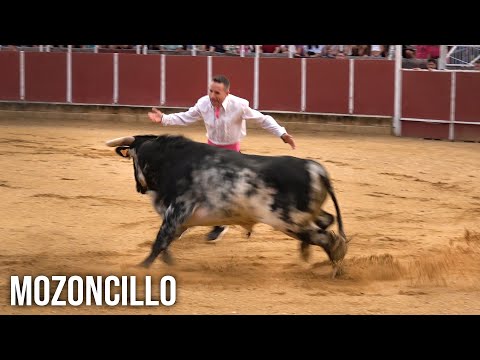 Mozoncillos 2024 Campeonato con Toros Bravos