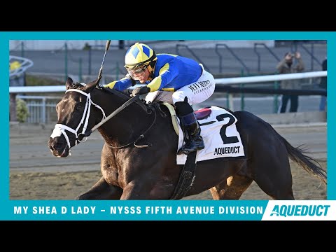 My Shea D Lady NYSS Fifth Avenue Division