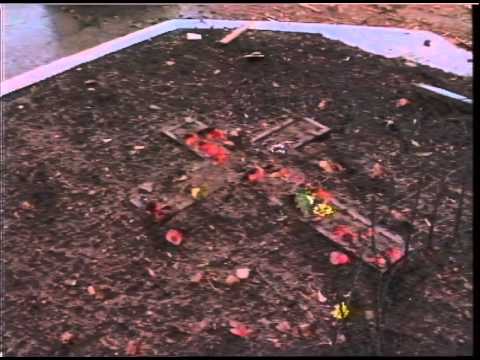 STUN GUN- STERLING RIOT CONTROL.