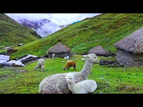 DESA DI PERU: MASYARAKAT HIDUP DAMAI DALAM KESEDERHANAAN