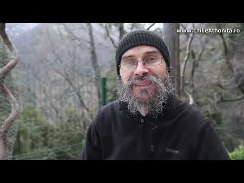 Ce înseamnă asumarea crucii - parintele Teologos