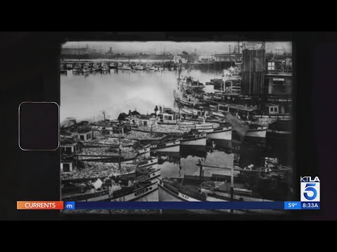 AAPI Heritage Month: The lost community of Terminal Island