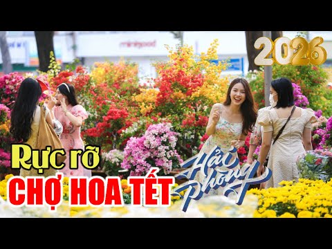 The most beautiful and largest Tet flower market in Hai Phong in 2026 (January 25, 2026)